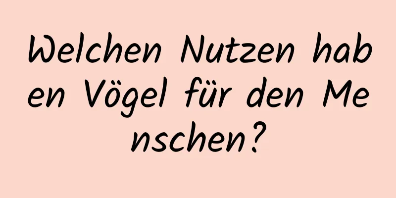 Welchen Nutzen haben Vögel für den Menschen?