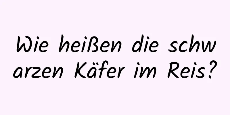 Wie heißen die schwarzen Käfer im Reis?