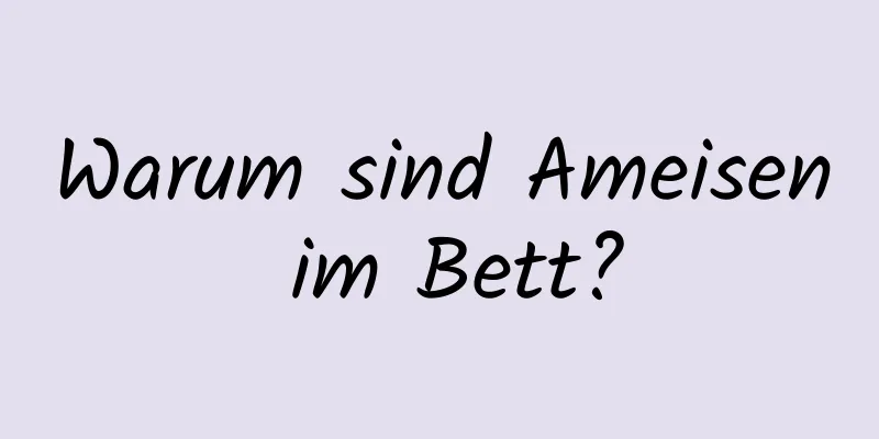 Warum sind Ameisen im Bett?