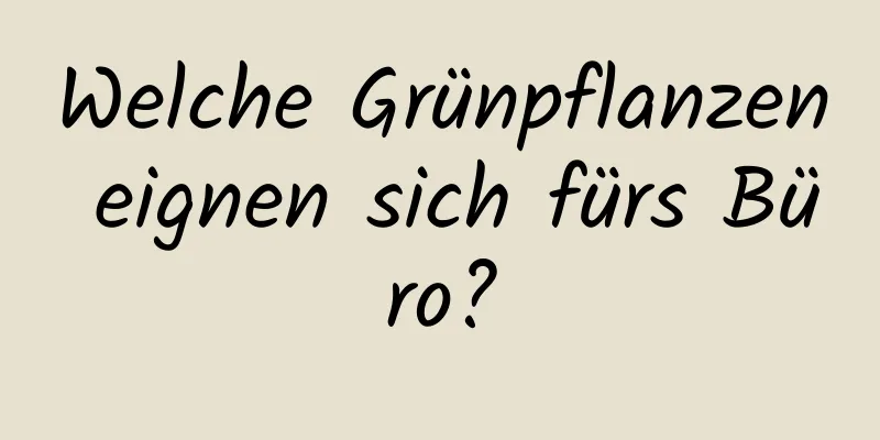 Welche Grünpflanzen eignen sich fürs Büro?