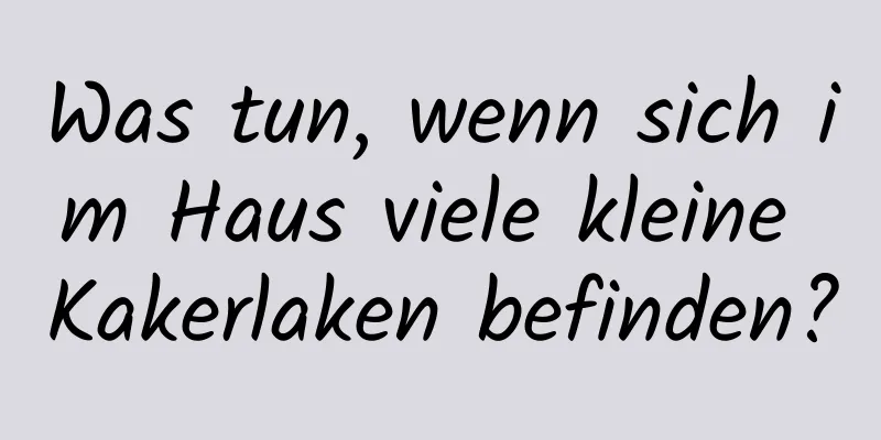 Was tun, wenn sich im Haus viele kleine Kakerlaken befinden?