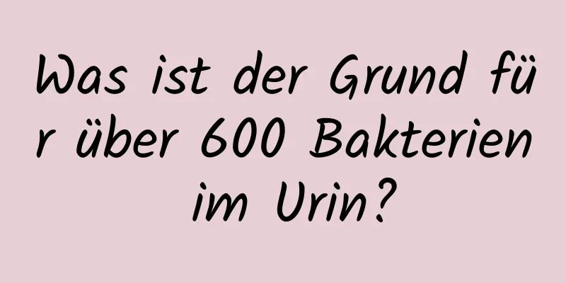 Was ist der Grund für über 600 Bakterien im Urin?