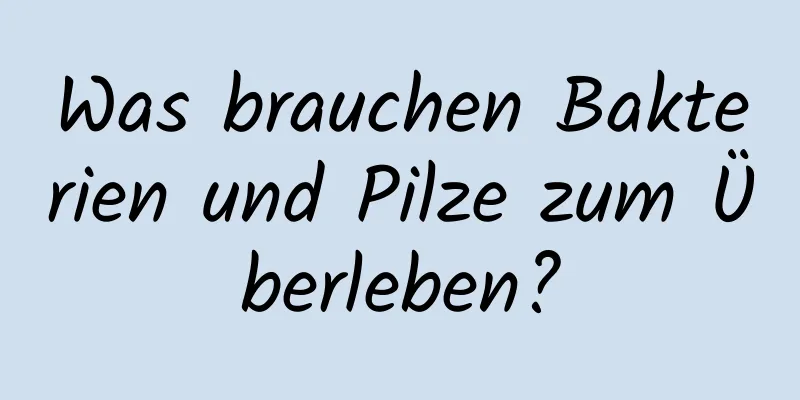 Was brauchen Bakterien und Pilze zum Überleben?