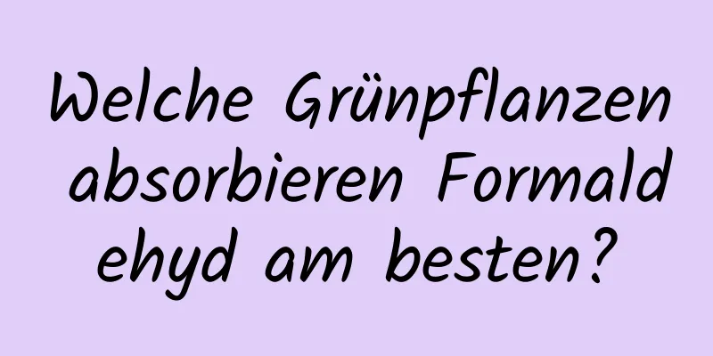 Welche Grünpflanzen absorbieren Formaldehyd am besten?