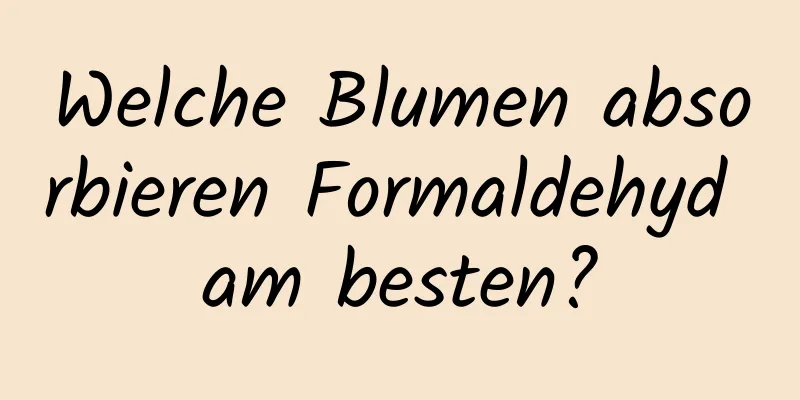 Welche Blumen absorbieren Formaldehyd am besten?