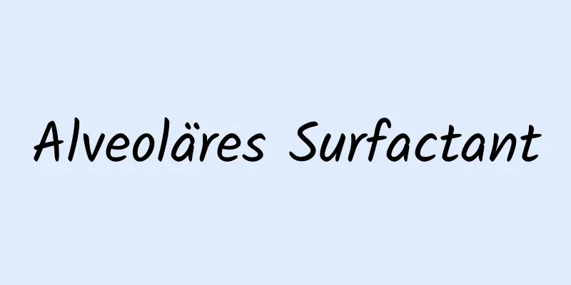 Alveoläres Surfactant