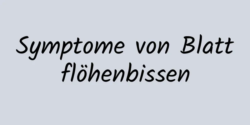 Symptome von Blattflöhenbissen