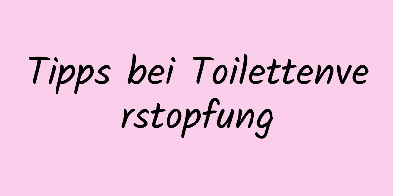 Tipps bei Toilettenverstopfung