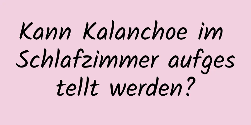 Kann Kalanchoe im Schlafzimmer aufgestellt werden?
