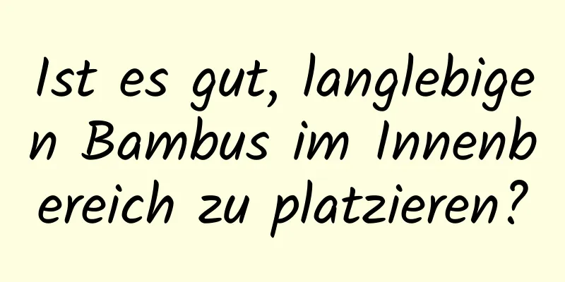 Ist es gut, langlebigen Bambus im Innenbereich zu platzieren?