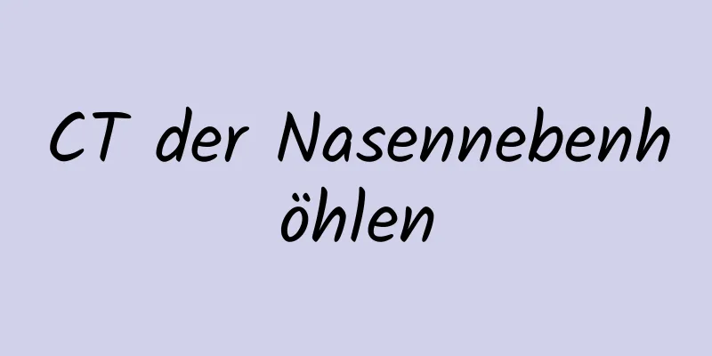CT der Nasennebenhöhlen
