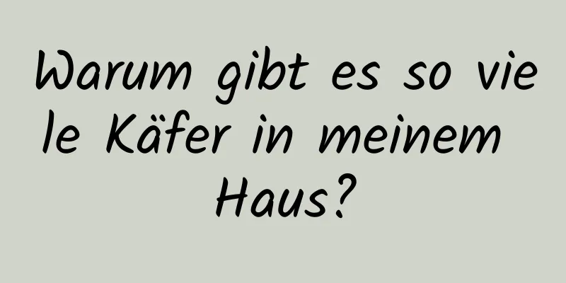 Warum gibt es so viele Käfer in meinem Haus?