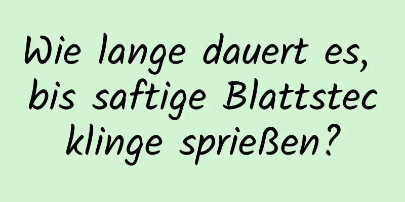 Wie lange dauert es, bis saftige Blattstecklinge sprießen?
