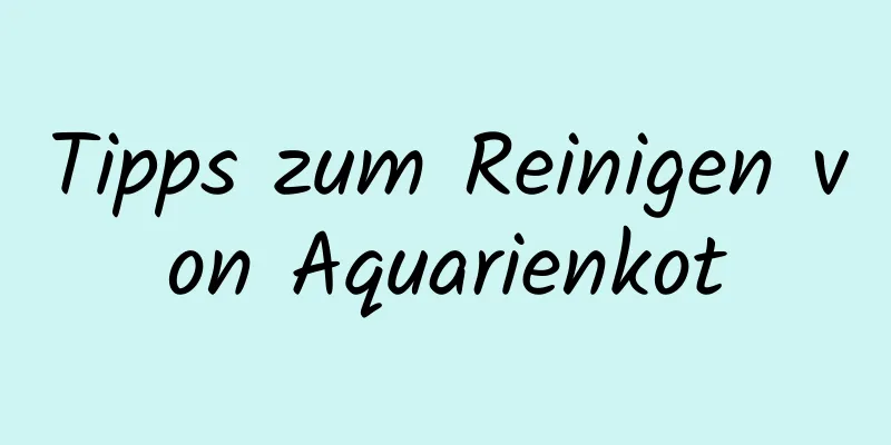 Tipps zum Reinigen von Aquarienkot