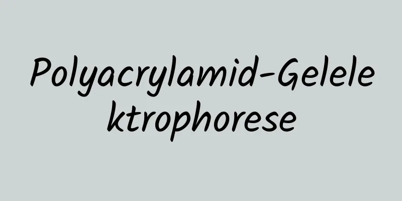 Polyacrylamid-Gelelektrophorese