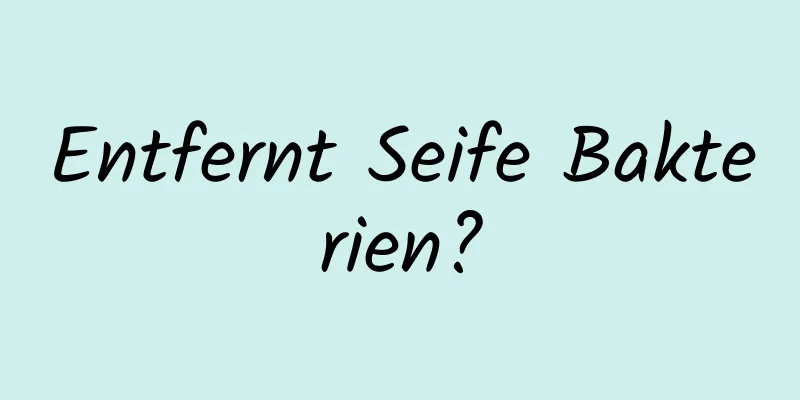 Entfernt Seife Bakterien?