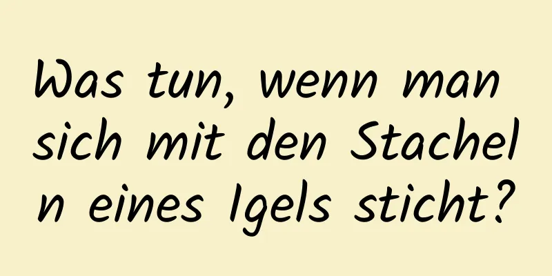 Was tun, wenn man sich mit den Stacheln eines Igels sticht?