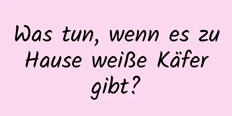 Was tun, wenn es zu Hause weiße Käfer gibt?