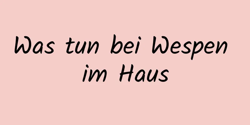 Was tun bei Wespen im Haus
