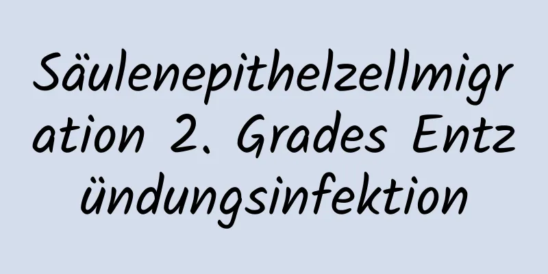 Säulenepithelzellmigration 2. Grades Entzündungsinfektion