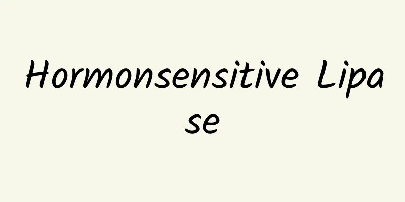 Hormonsensitive Lipase