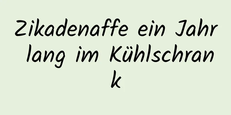 Zikadenaffe ein Jahr lang im Kühlschrank