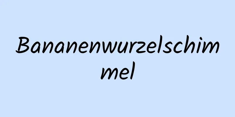 Bananenwurzelschimmel