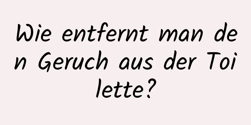 Wie entfernt man den Geruch aus der Toilette?