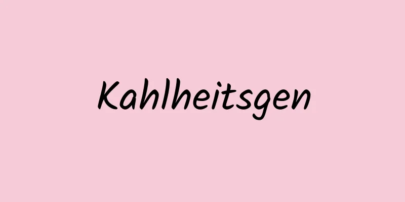 Kahlheitsgen