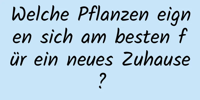 Welche Pflanzen eignen sich am besten für ein neues Zuhause?