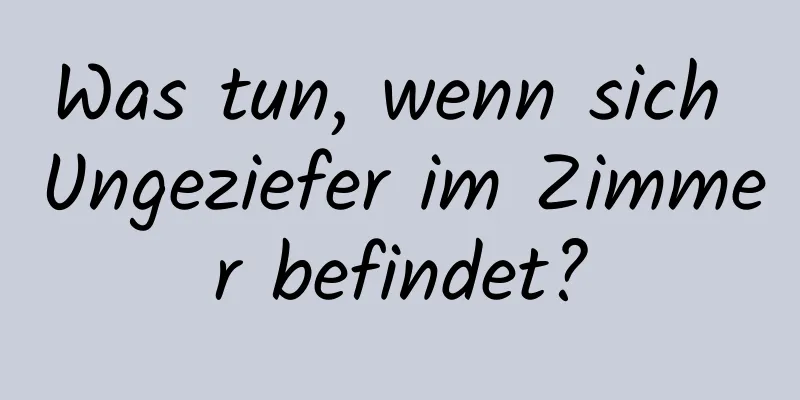 Was tun, wenn sich Ungeziefer im Zimmer befindet?