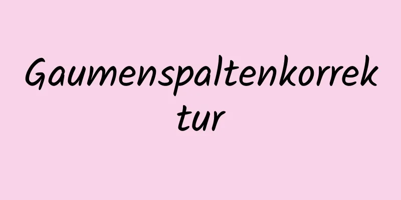 Gaumenspaltenkorrektur