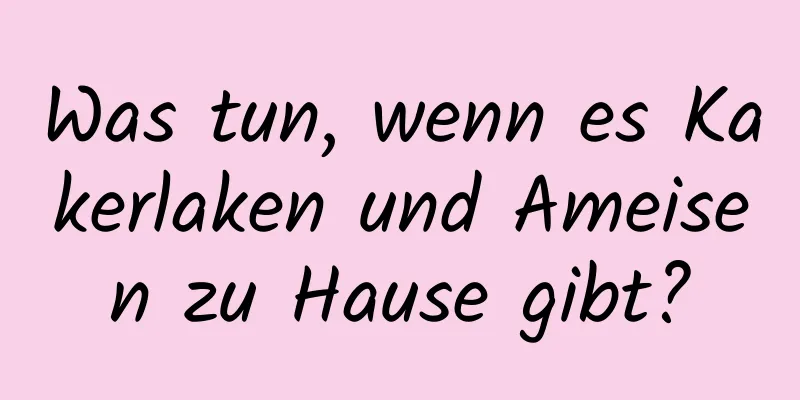 Was tun, wenn es Kakerlaken und Ameisen zu Hause gibt?