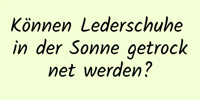 Können Lederschuhe in der Sonne getrocknet werden?