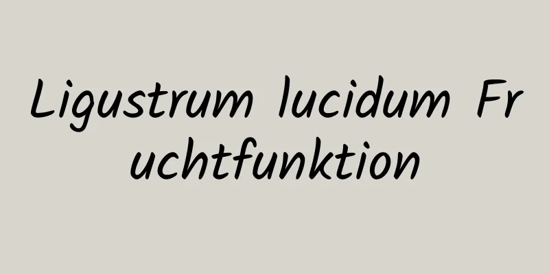 Ligustrum lucidum Fruchtfunktion