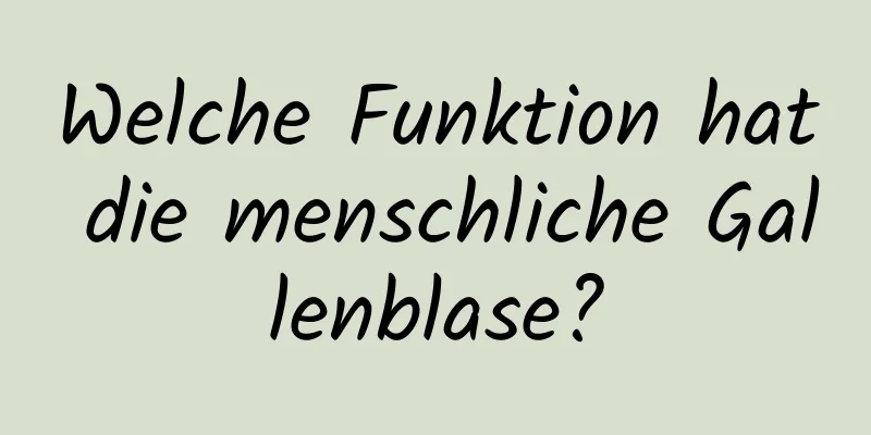 Welche Funktion hat die menschliche Gallenblase?