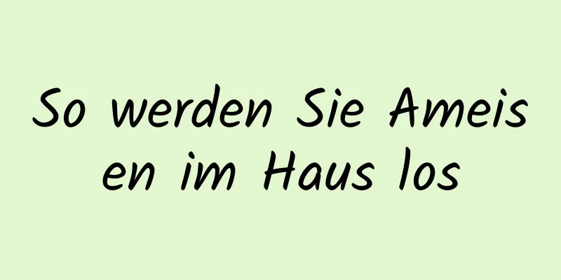 So werden Sie Ameisen im Haus los