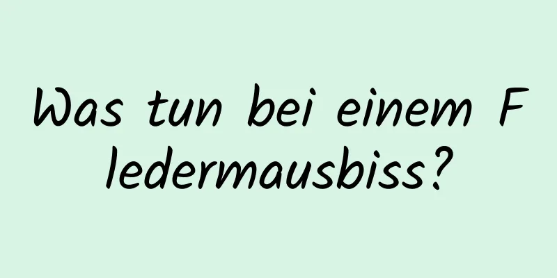 Was tun bei einem Fledermausbiss?