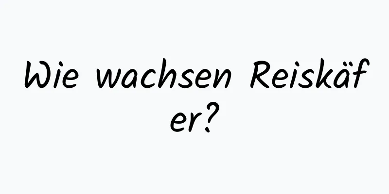 Wie wachsen Reiskäfer?
