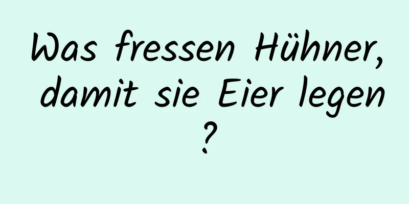Was fressen Hühner, damit sie Eier legen?
