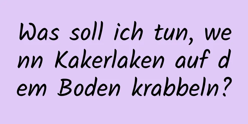 Was soll ich tun, wenn Kakerlaken auf dem Boden krabbeln?