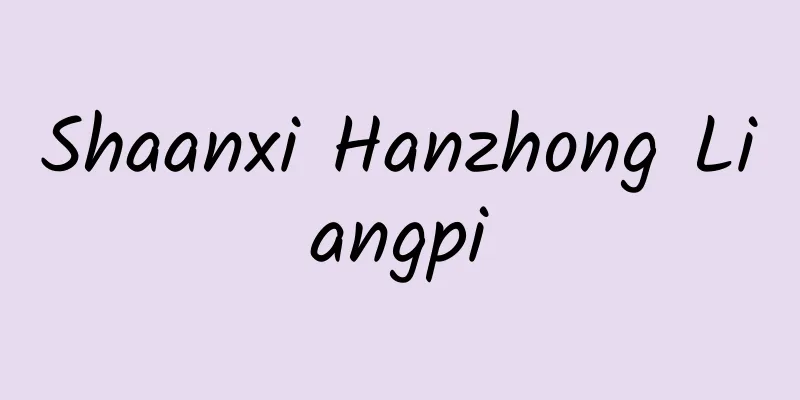Shaanxi Hanzhong Liangpi