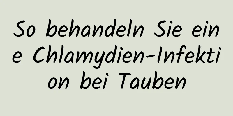 So behandeln Sie eine Chlamydien-Infektion bei Tauben
