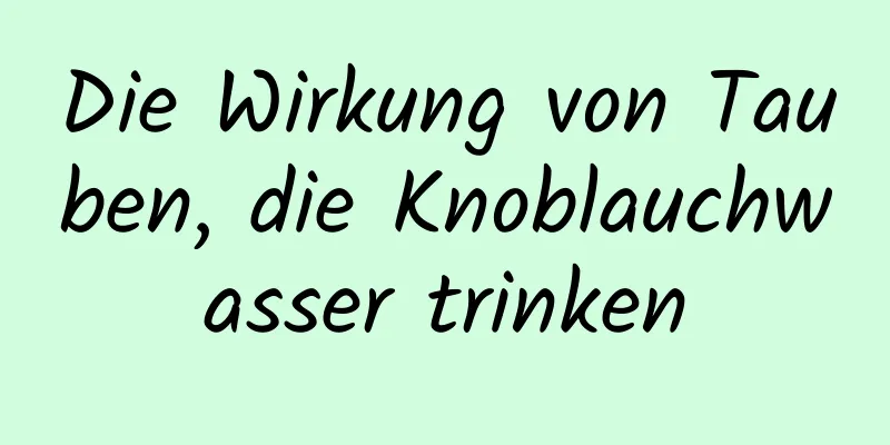 Die Wirkung von Tauben, die Knoblauchwasser trinken