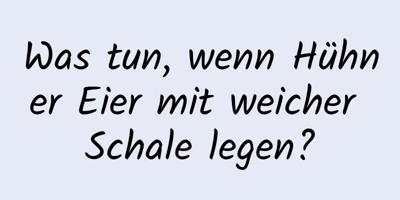 Was tun, wenn Hühner Eier mit weicher Schale legen?