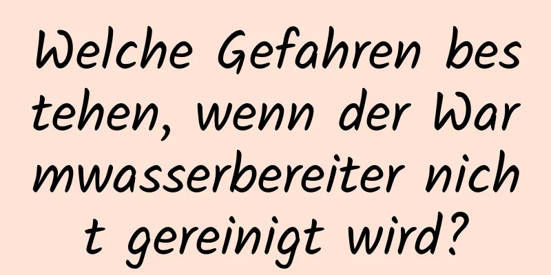 Welche Gefahren bestehen, wenn der Warmwasserbereiter nicht gereinigt wird?