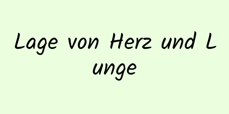 Lage von Herz und Lunge