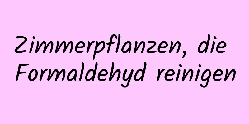 Zimmerpflanzen, die Formaldehyd reinigen