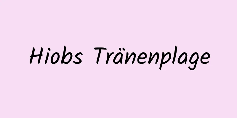 Hiobs Tränenplage