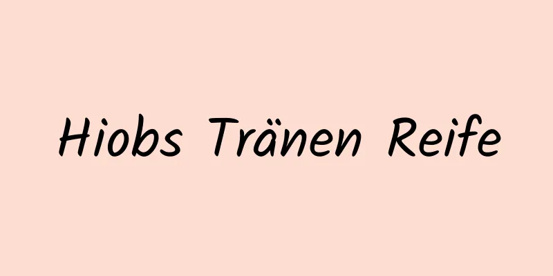 Hiobs Tränen Reife